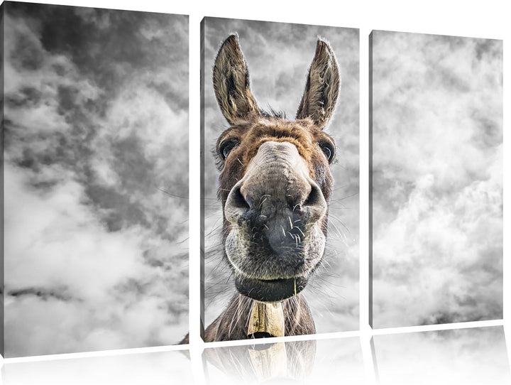 Pixxprint Lustiger Esel als Leinwandbild | Grösse: 3 Teilig (120x80) | Wandbild| Kunstdruck | fertig