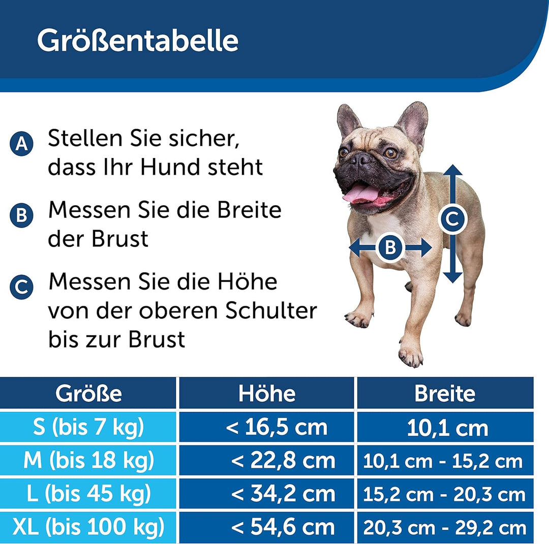 PetSafe Staywell Aluminium-Haustiertür, Mit Magnetverschluss und 2 Verschlussoptionen, Für Haustiere