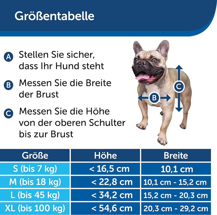 PetSafe Staywell Aluminium-Haustiertür, Mit Magnetverschluss und 2 Verschlussoptionen, Für Haustiere