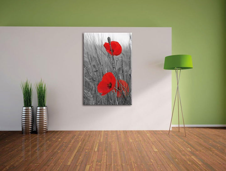 Pixxprint einzelne Mohnblumen im Getreidefeld schwarz/weiss als Leinwandbild/Grösse: 100x70 cm/Wandb
