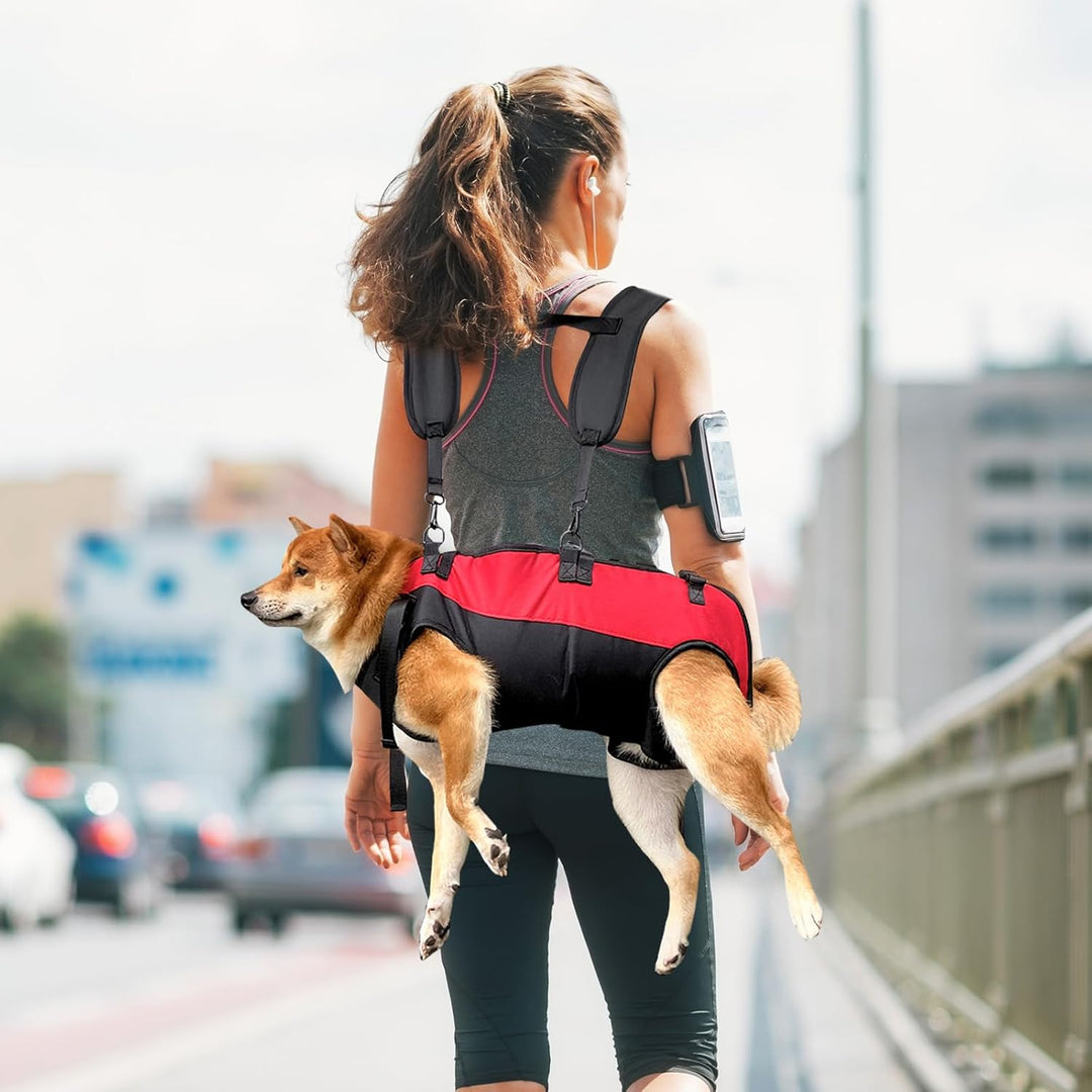PETCUTE Hunde-Tragegeschirr,Hundegeschirr-Rucksack für grosse Hundes,Ganzkörpergeschirr mit Griff,Ve