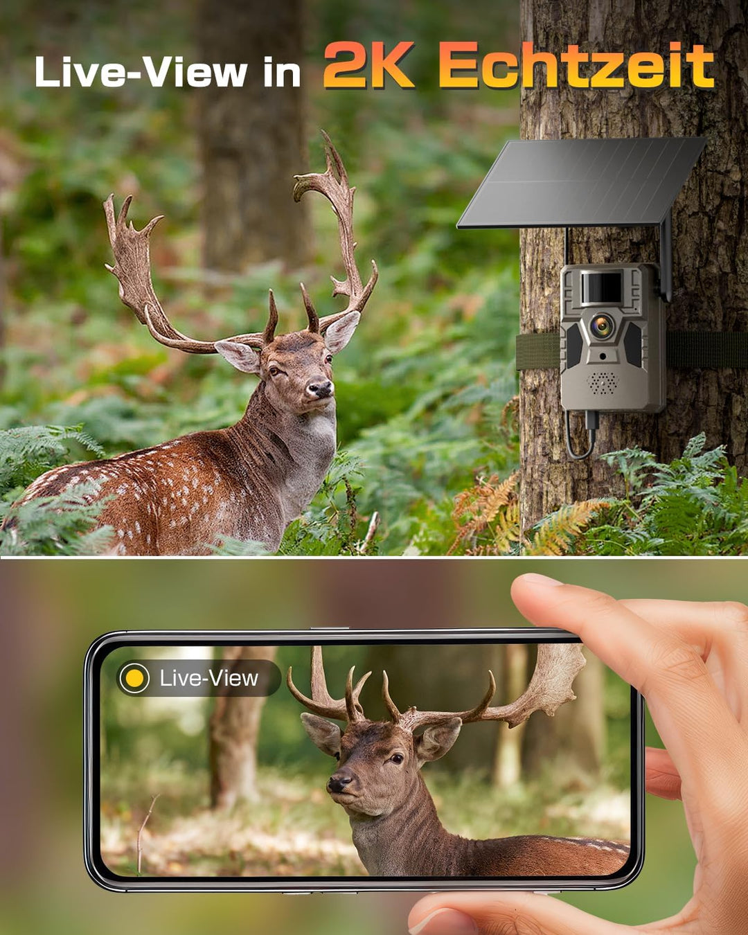 4G LTE Wildkamera mit Handyübertragung APP, Solar Überwachungskamera Aussen mit SIM Karte, 2K Wildti