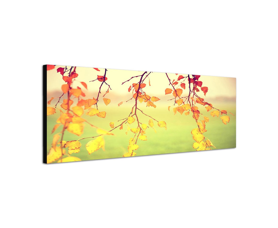 Augenblicke Wandbilder Keilrahmenbild Wandbild 150x50cm Blätter Äste Herbst bunt