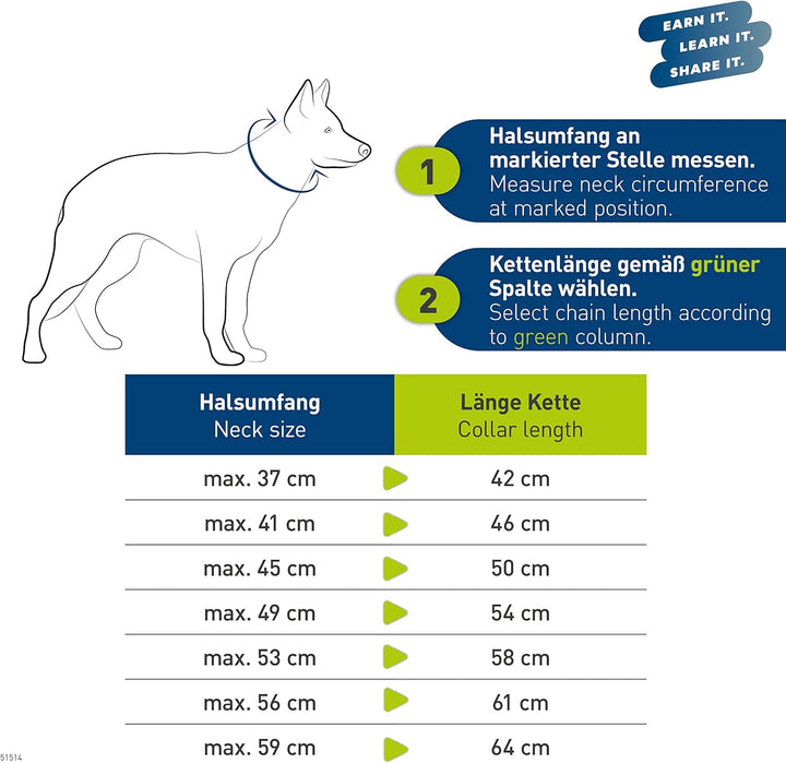 Sprenger Hundehalskette mit Durchzugskette 3mm I Edelstahl rostfreies Hundehalsband für langhaar Hun