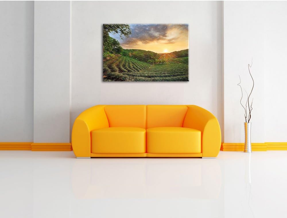 Pixxprint Teeplantage bei Sonnenuntergang / 100x70cm Leinwandbild bespannt auf Holzrahmen/Wandbild K