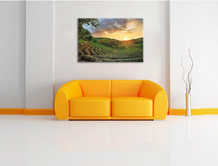 Pixxprint Teeplantage bei Sonnenuntergang / 100x70cm Leinwandbild bespannt auf Holzrahmen/Wandbild K