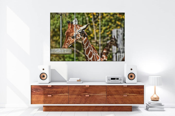 deyoli Giraffe beim Fressen Format: 3Teilig als Leinwandbild, Motiv fertig gerahmt auf Echtholzrahme