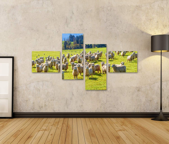 islandburner Bild auf Leinwand EIN Foto Von Einer Herde Von Schafen In Neuseeland Wandbild Poster Ku