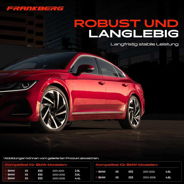 Frankberg 2x Türgriff Türgriffträger Lagerbügel Griffträger Vorne Links Rechts Kompatibel mit X5 E53