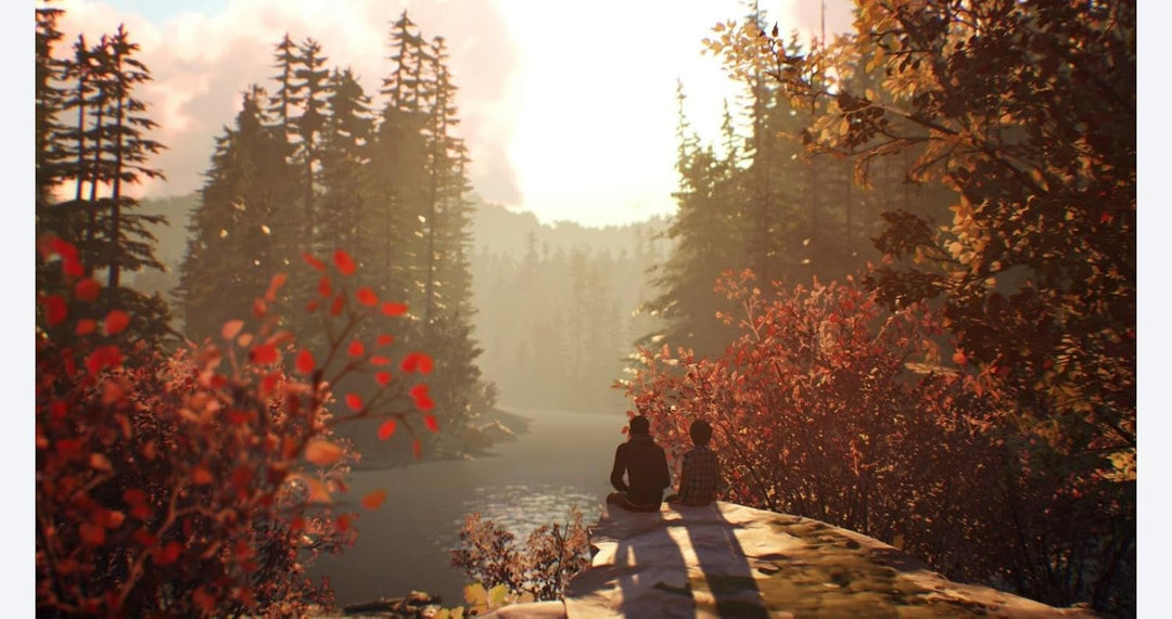Life is Strange 2 PS4 [ Standard, Standard