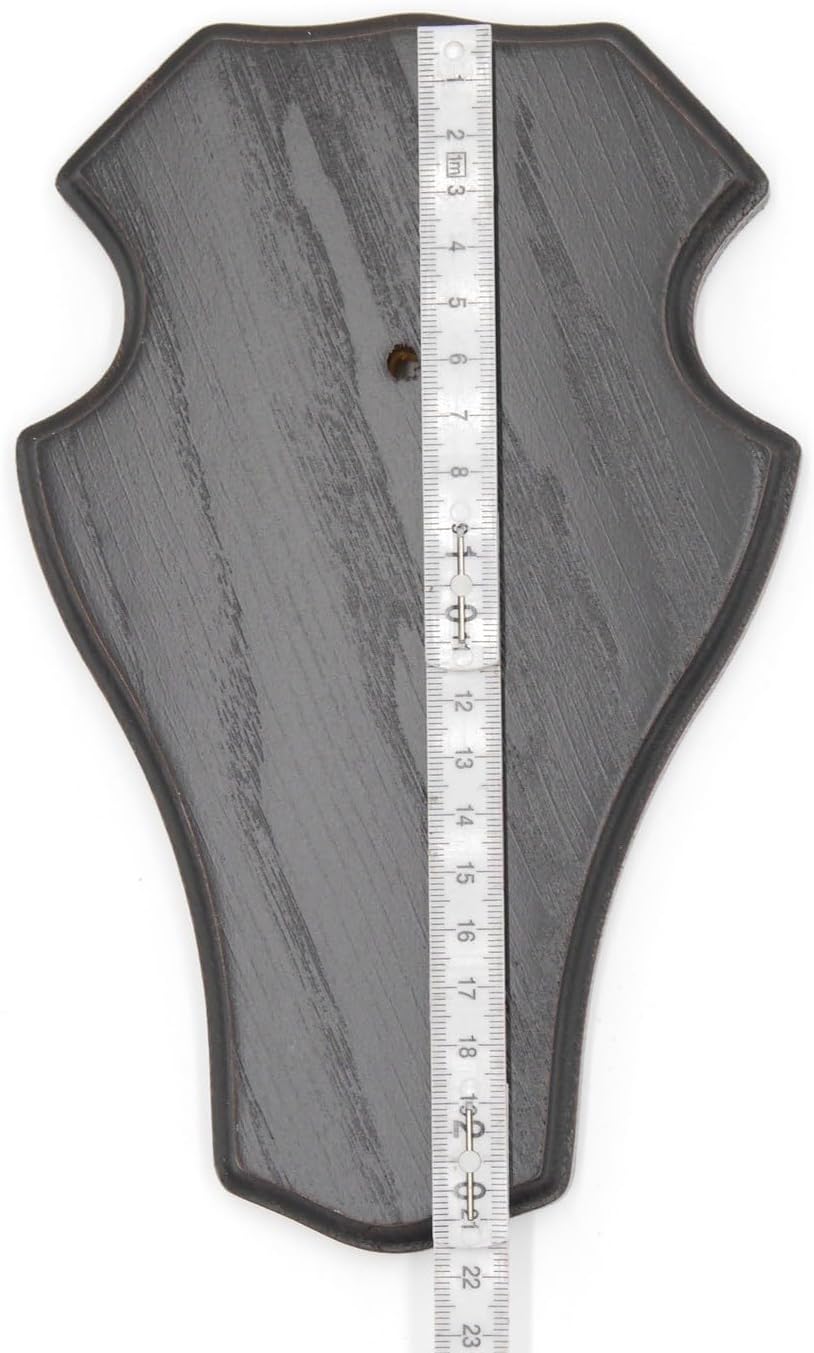 10 Stück REH Bock Schild Trophäenschilder mit 1 Kieferfach in Eiche dunkel AF 21 x 13 cm