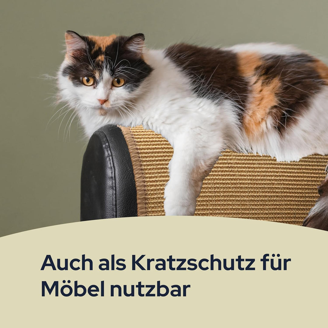 Primaflor Katzen-Kratzmatte - Grau, 200 x 300 cm, Rutschhemmende Sisalmatte für Krallenpflege, Robus