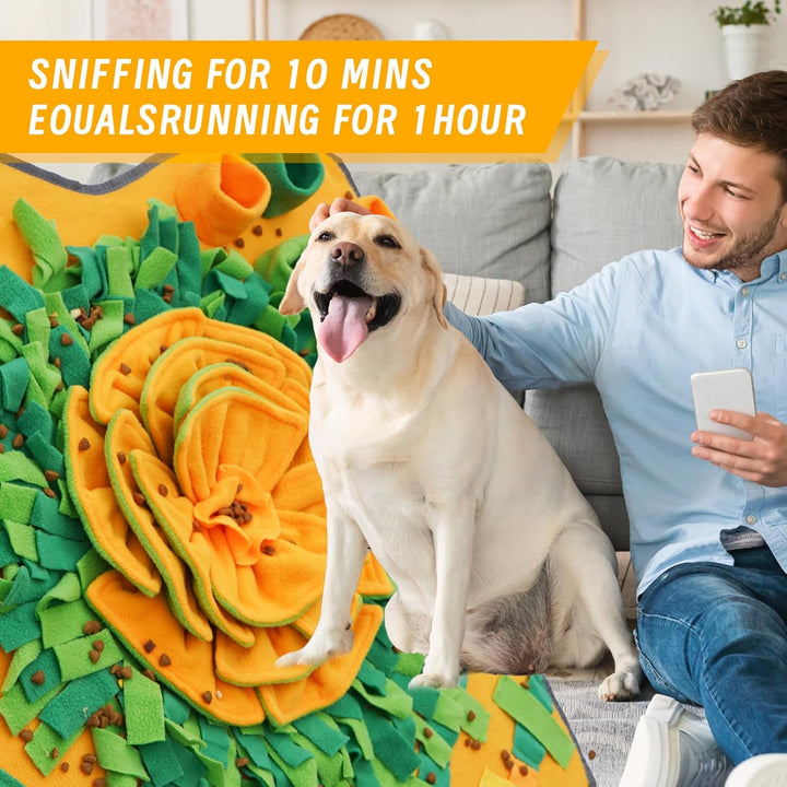schnüffelteppich Hund Snuffle mat Interaktives Spielzeug Fördert die natürliche Futtersuche waschbar