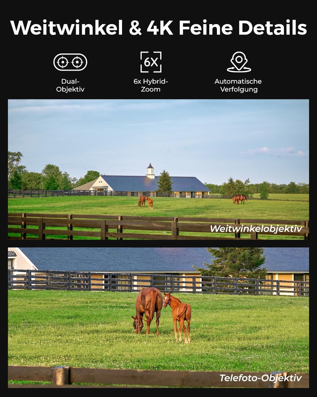Reolink 3G/4G LTE PTZ Solar Überwachungskamera mit SIM-Karte, Auto-Tracking & Auto-Zoom, Dual-Lens,