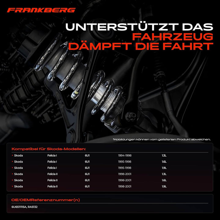 Frankberg 2x Federn Fahrwerksfeder Hinterachse Kompatibel mit Felicia I II 6U1 1.3L 1.6L 1.9L Schräg