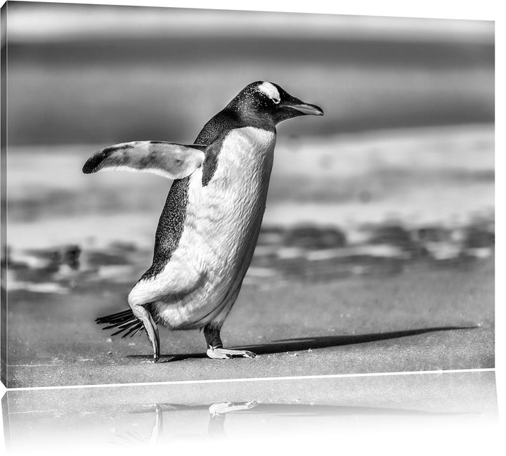 Pinguin am Strand als Leinwandbild/Grösse: 100x70 cm/Wandbild/Kunstdruck/fertig bespannt, 100x70