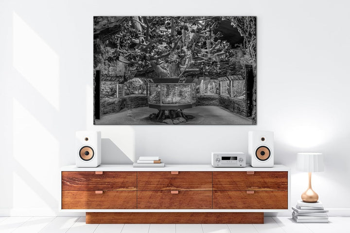 deyoli Bezauberndes Aquarium mit Fischen Effekt: Schwarz/Weiss im Format: 80x60 als Leinwandbild, Mo