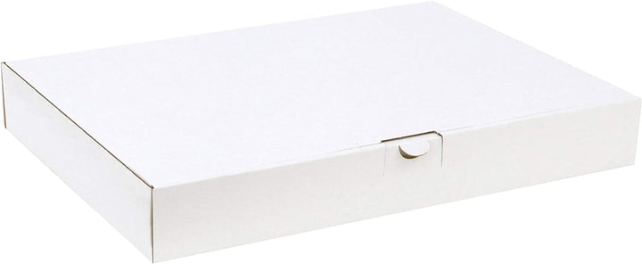 100 Maxibriefkartons weiss 350 x 250 x 50 mm DIN A4+ B4 Maxibrief Versandkarton Warensendung Büchers