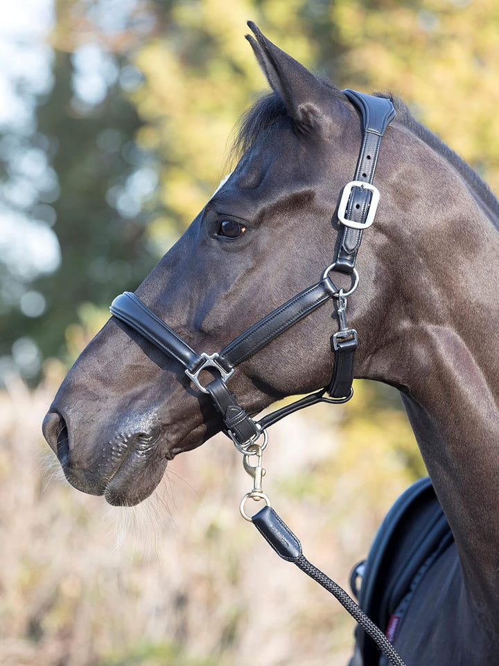 LeMieux Anatomic Leather Headcollar Anatomisches Lederhalfter