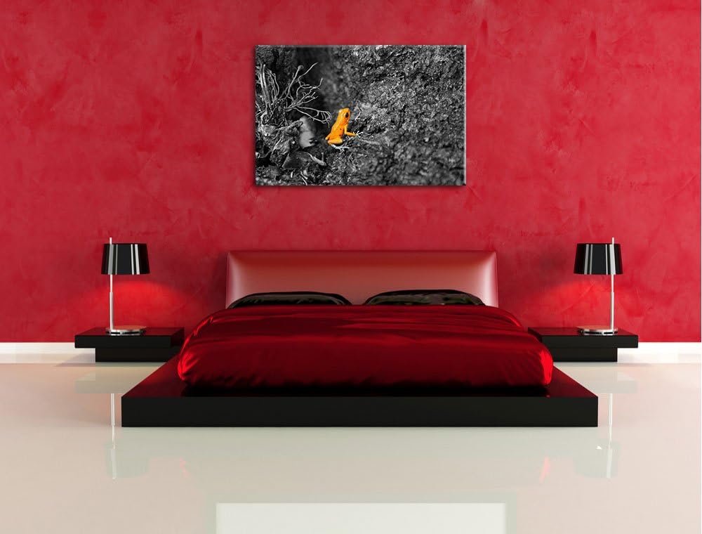 giftiger kleiner Frosch schwarz/weiss auf Leinwand, XXL riesige Bilder fertig gerahmt mit Keilrahmen