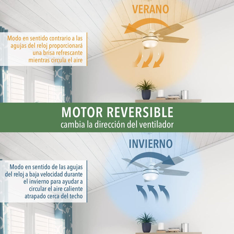 HUNTER DECKENVENTILATOR Protos, 132 cm, Deckenventilator für den Innen- und Aussenbereich mit Wandsc