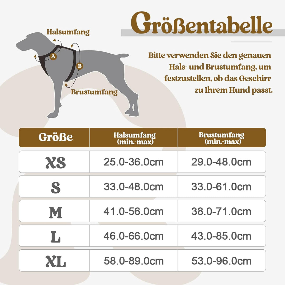 rabbitgoo No-Pull Hundegeschirr für grosse Hunde Welpengeschirr Einstellbar Weich Geschirr Sicher Ko