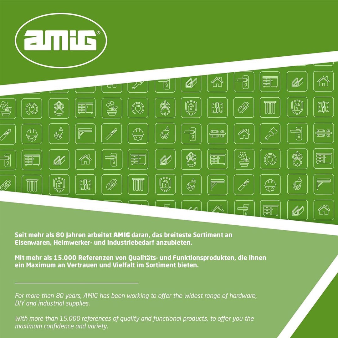 Amig - Geldkassette | Geldkassette für Geld, Geldscheine und Münzen | mit Münzfach und 2 Schlüsseln