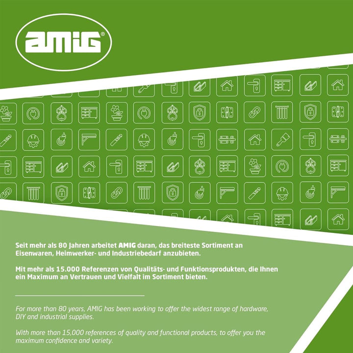 Amig - Geldkassette | Geldkassette für Geld, Geldscheine und Münzen | mit Münzfach und 2 Schlüsseln