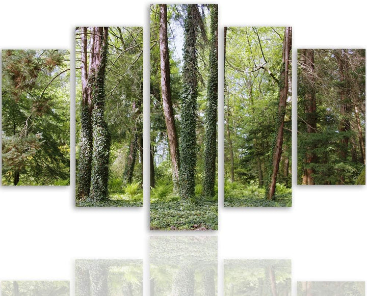 Feeby Leinwandbild 5 Teilig Landschaft Bild Wanddeko Natur Wald Lichtung grün 150x100 cm M_11535 150
