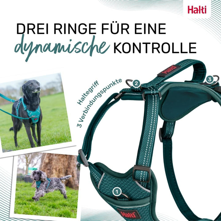 HALTI Anatomy Hundegeschirr mit Griff – Bewegungsfreiheit und Tragekomfort für deinen Hund. 3 Verbin