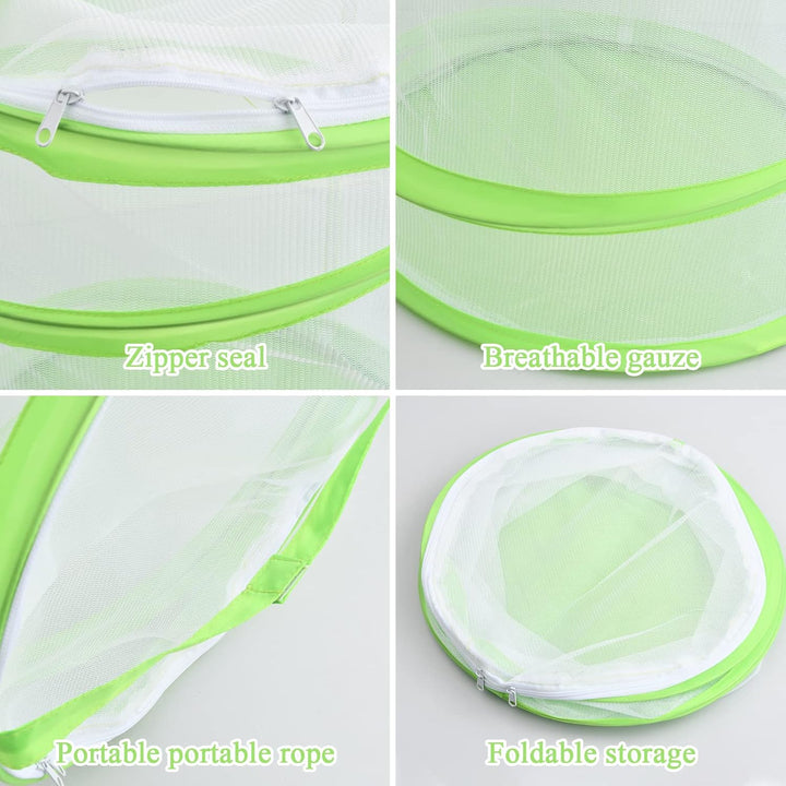 Einfach aufzubauendes Schmetterlingszucht-Set mit Raupen und Netz Käfig - Schmetterlingshaus und Sch