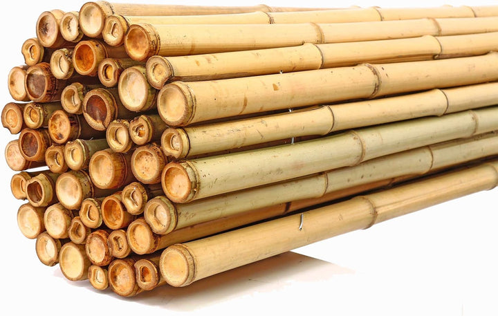 Bambus Rollzaun "Bali Big" 180 x 200cm aus dicken Bambusrohren mit 3,5-5cm Durchmesser - Bambusmatte