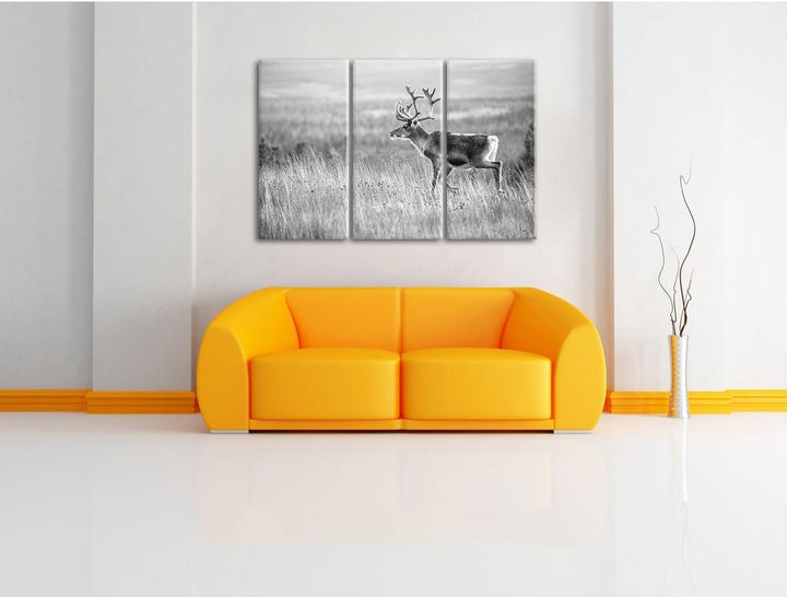 Pixxprint Rentier in Norwegen Kunst B&W als Leinwandbild/Grösse: 3 Teilig (120x80) / Wandbild/Kunstd