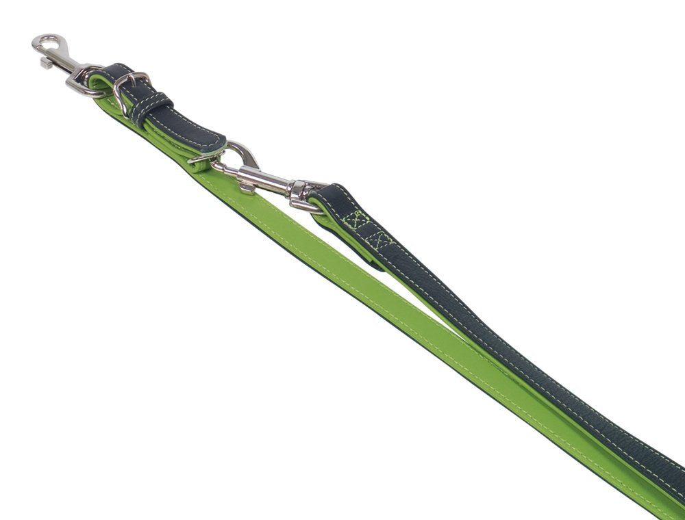 Nobby Führleine PACIFIC, grün 2 m, 14 mm, 1 Stück grün Breite 14 mm, grün Breite 14 mm