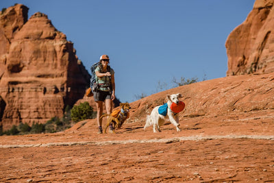 RUFFWEAR Camp Flyer Hundespielzeug, 2-in-1, flexibel und pannensicher, Wurfscheibe und Napf für Haus