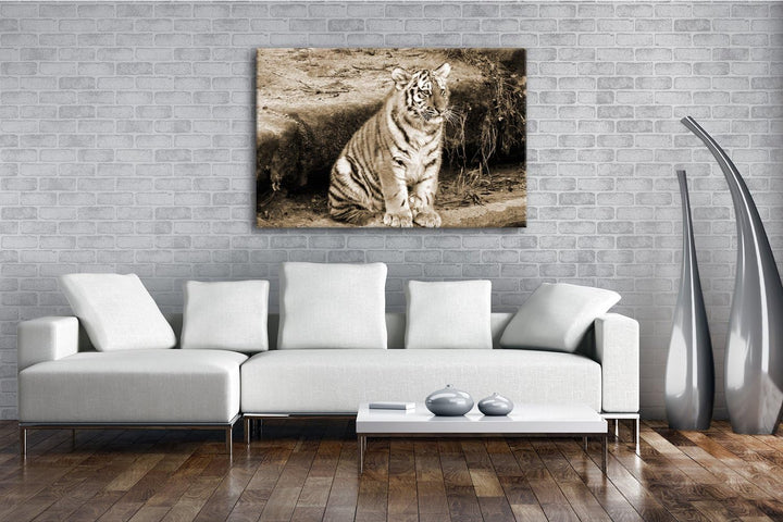 deyoli niedliches Tiger Jungtier Format: 80x60 Effekt: Sepia als Leinwandbild, Motiv fertig gerahmt