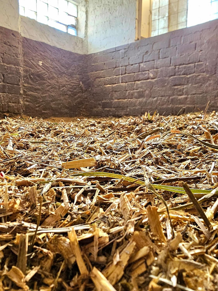 StaehrLLETS Strohpellets Einstreu Stroh Tier Streu Pellet Stall Pferde Box Biotonne 20 kg, statt Säg