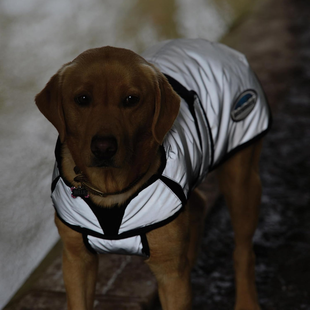 Weatherbeeta Comfitec Reflektierender Hundemantel - Silber 30cm, 30cm