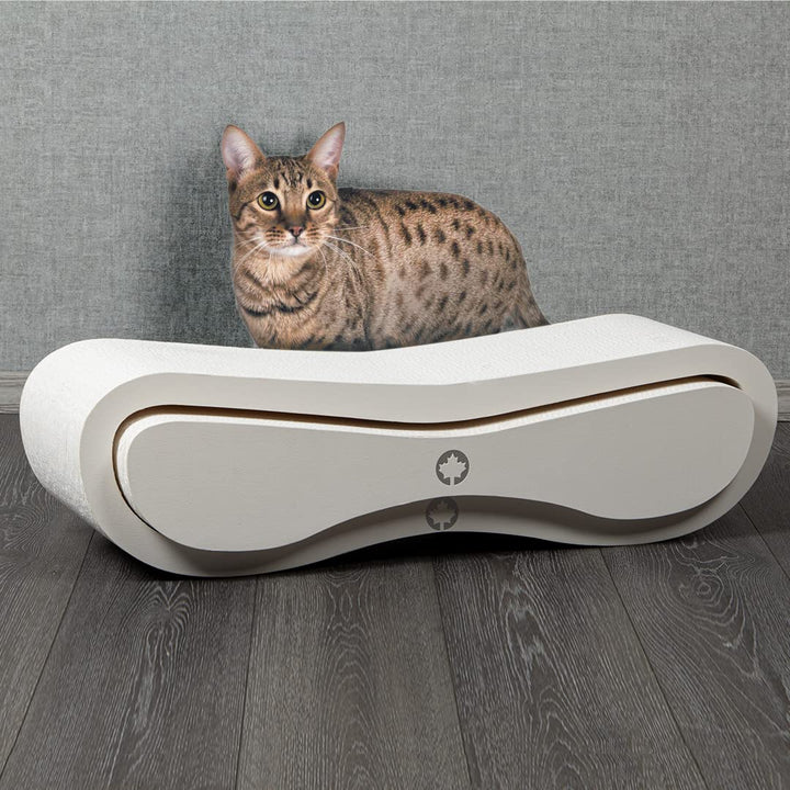 CanadianCat Company | Kratzbrett Set - Orbit+Satellite 2.0 - White Edition - gemasert - Katzenmöbel