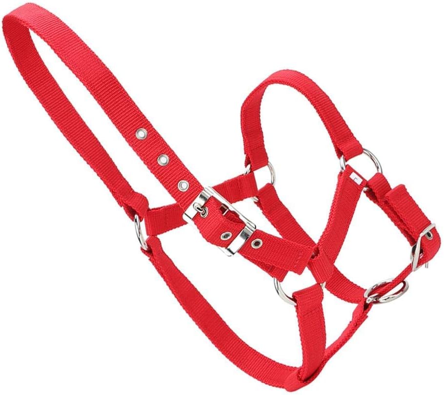 YOUTHINK Horse Halter High Density 6Mm Verdicktes Gurtband Horse Bridle Control Halfter Reitzubehör