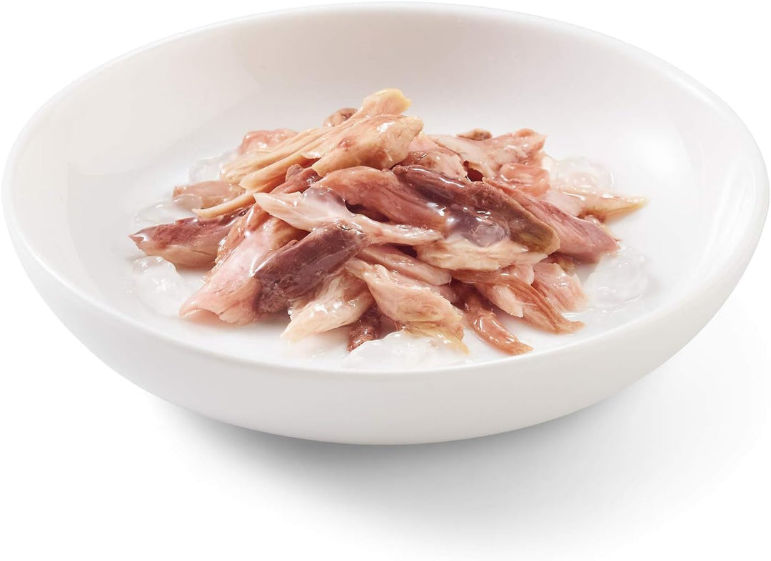 Schesir Cat Jelly Thunfisch mit Rind, Katzenfutter nass in Gelee, 24 Dosen x 140 g, Thunfisch mit Ri