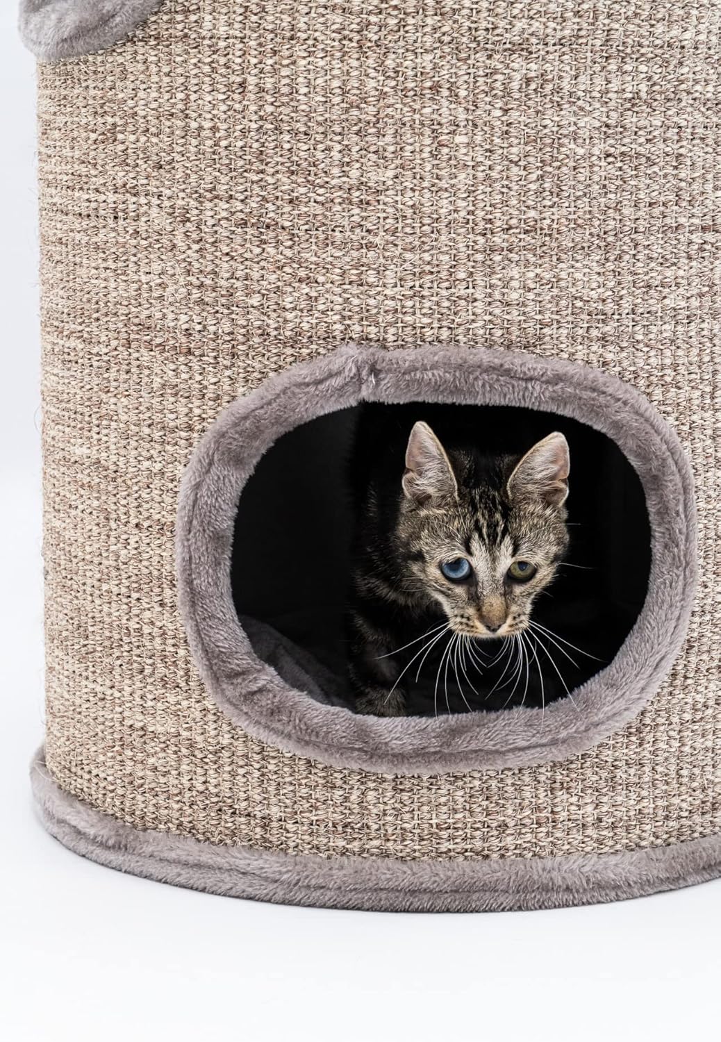 Petrebels Kratztonne Dome 80 cm hoch, Ø 45 cm, extra Breit und Schwer für Ultimative Stabilität, Far