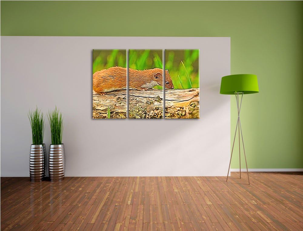 Süsses Frettchen 3 Teilig, Gesamtgrösse 120x80 cm auf Leinwand, XXL riesige Bilder fertig gerahmt mi