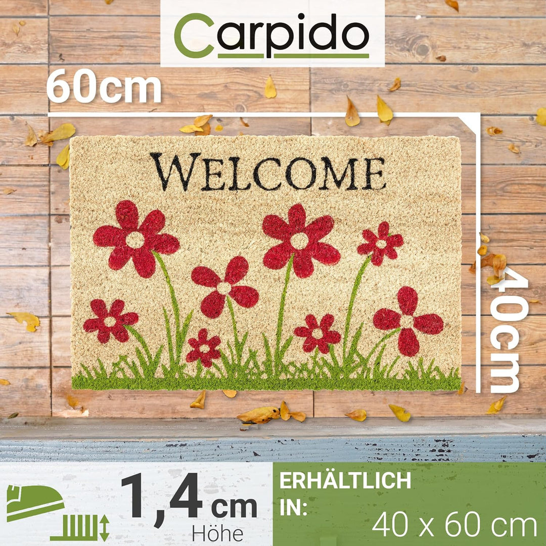 Carpido Fussmatte Kokos Blumenwiese Natur – Türmatte 40x60 cm 2er Set – antibakterielle Matte – Koko