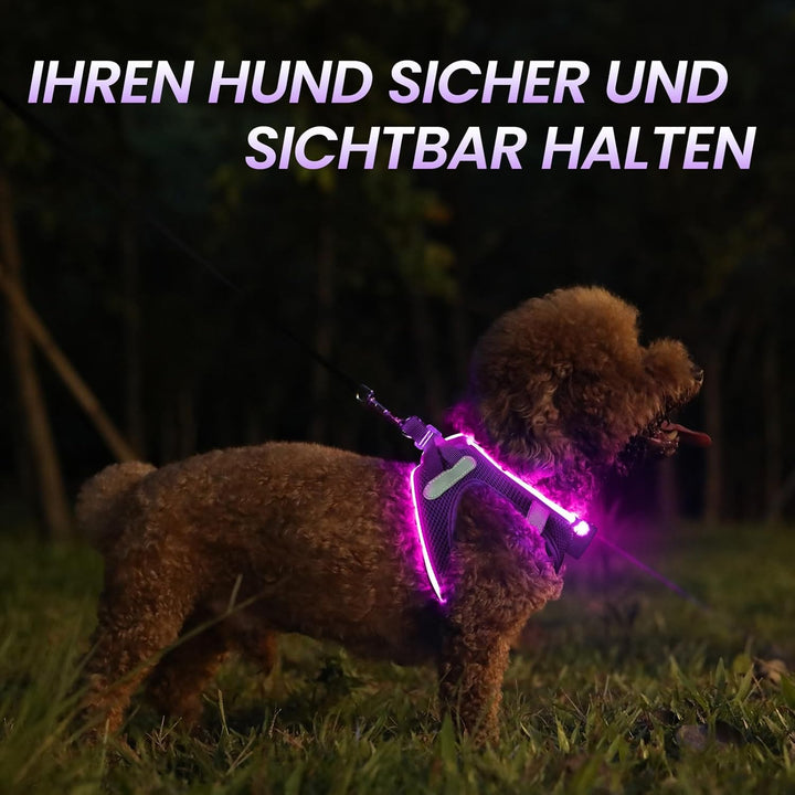 PcEoTllar Hundegeschirr Leuchtend USB Aufladbar Reflektierendes Leuchtgeschirr LED Leucht Brustgesch