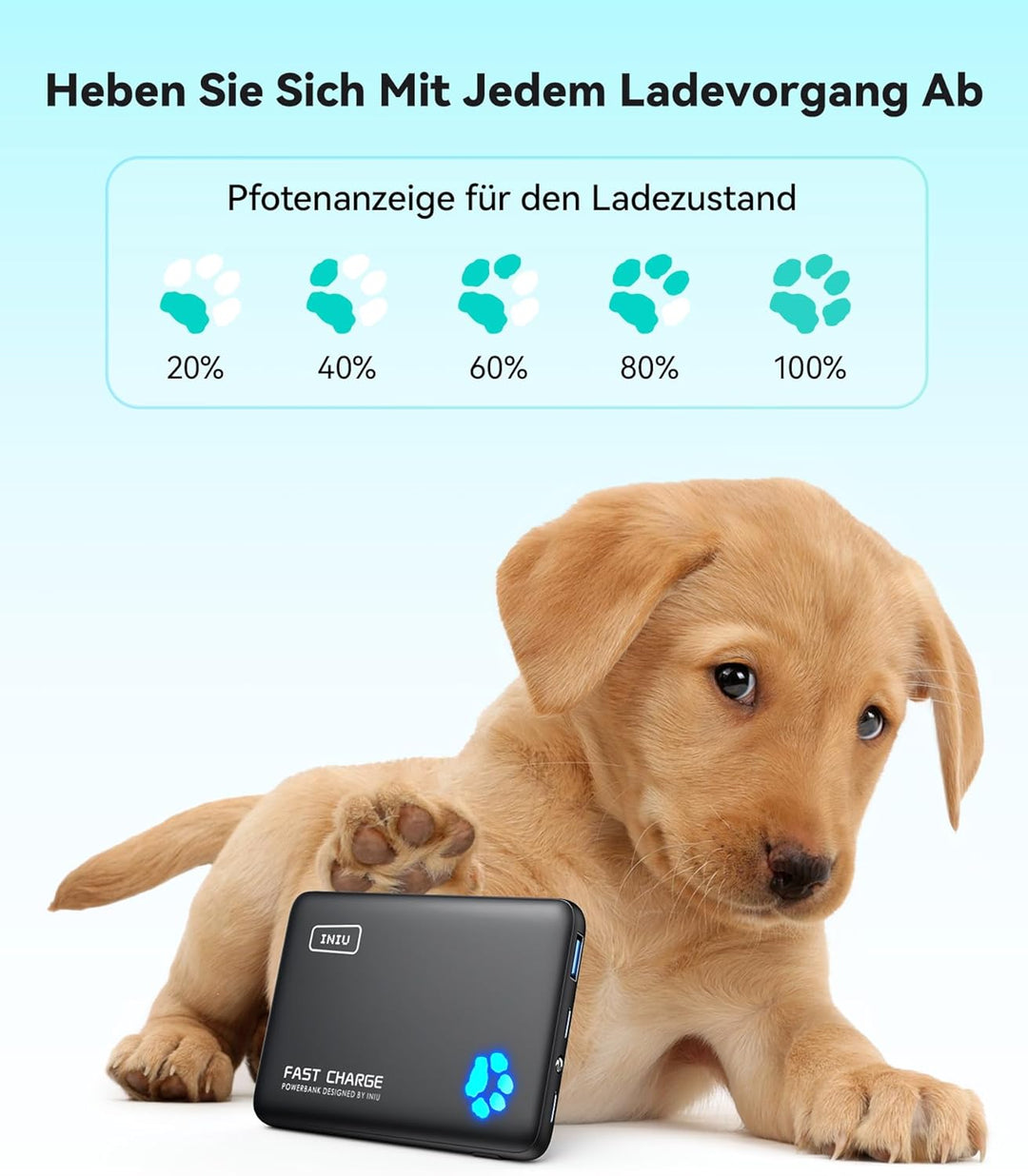 INIU Power Bank, 22,5W Powerbank Klein Aber Stark 10000mAh (USB C In & Out), PD3.0 QC4.0 Externe Han