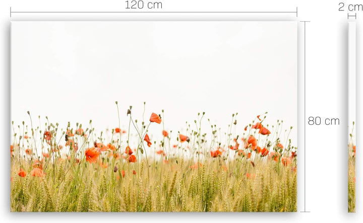 ge Bildet Bild auf Leinwand | Mohnfeld - blumen natur M in 120x80 cm als Wandbild XXL | Wand-deko De