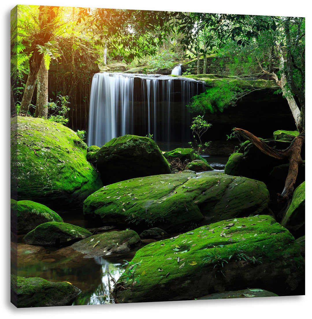 Pixxprint Regenwald in Thailand als Leinwandbild/Grösse: 70x70 cm/Wandbild/Kunstdruck/fertig bespann