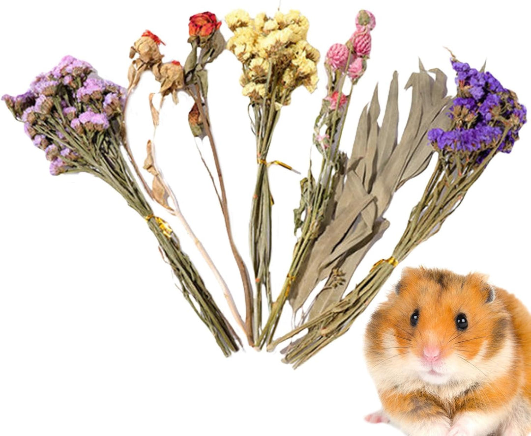 Hamster Heublumen Einstreu, Blumen-Hamster-Bettwäsche, Trockenblumen Für Hamster, Trockenblumen-Hams