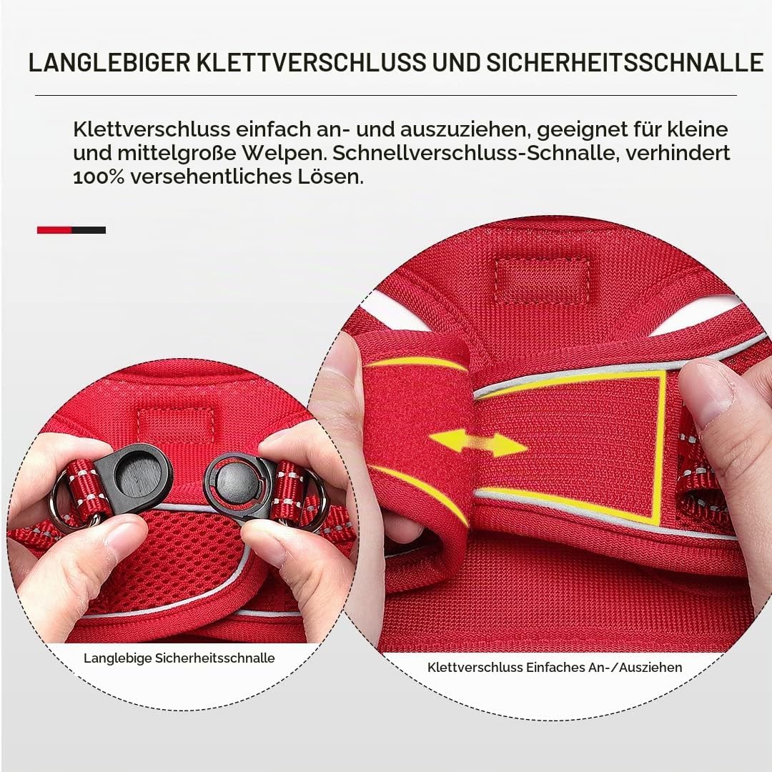 Suredoo Hundegeschirr mit Leine Anti Zug Geschirr Reflektierend Brustgeschirr für Kleine Hunde, Haus